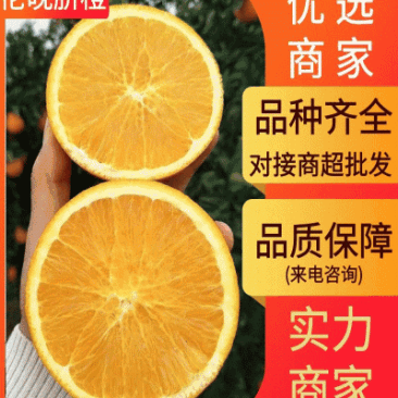 橙子/脐橙/秭归伦晚脐橙/中华红橙/源头货源/真实报价
