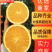 橙子/脐橙/秭归伦晚脐橙/中华红橙/源头货源/真实报价
