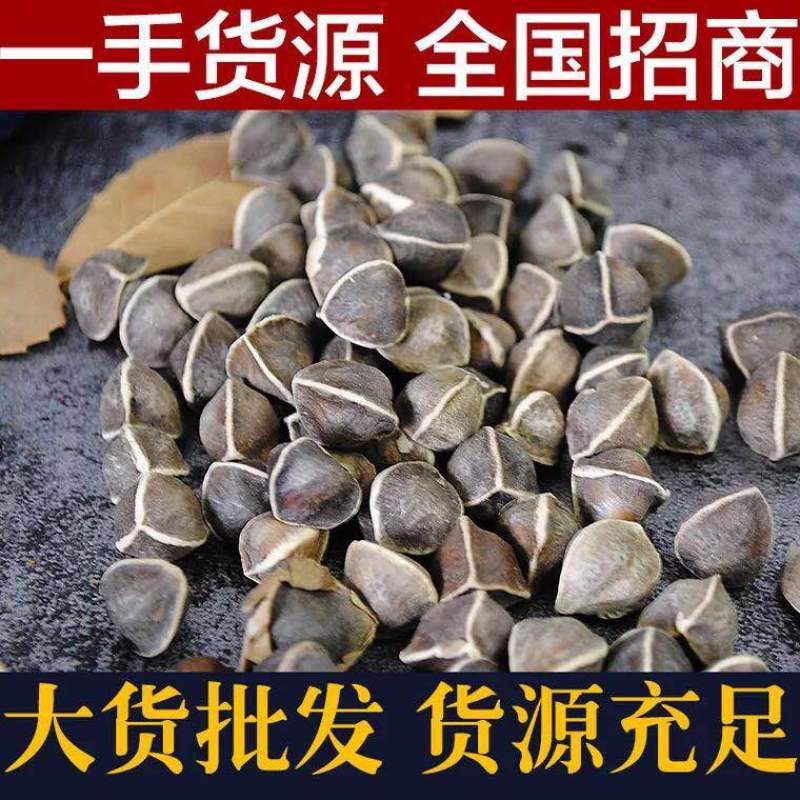辣木籽一手货源人工挑选颗粒饱满无坏籽辣木子低价批发
