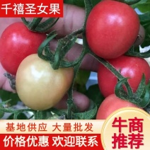 【牛商推荐】滑县基地千禧果圣女果大量上市中，欢迎来电