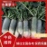 【实力热卖】水果萝卜大量现货可对接商超现拔现发欢迎选购