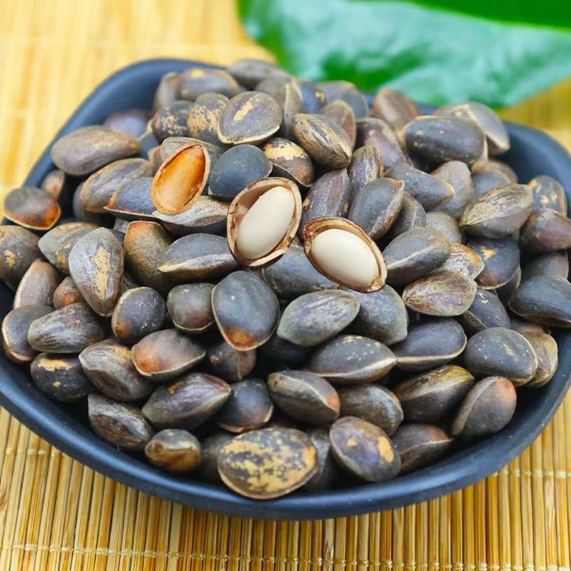 山西精品落水松子产地一手货源质量保证欢迎来电咨询