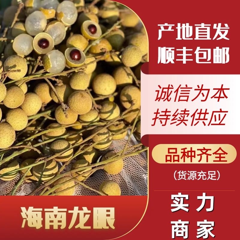 龙眼/海南龙眼/新鲜龙眼/新鲜桂圆/海南顺丰空运一件代发