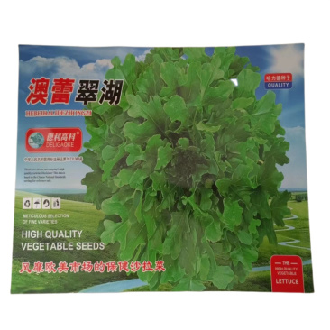 脆甜沙拉菜种子花丫甜唛菜花芽甜麦菜种子锯齿生菜种子