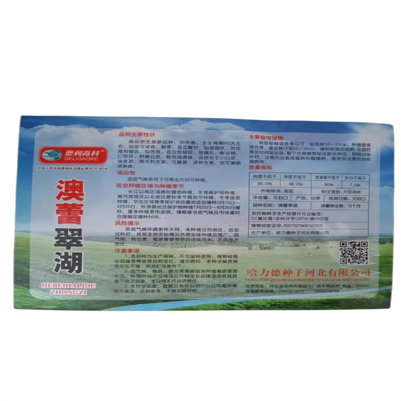 脆甜沙拉菜种子花丫甜唛菜花芽甜麦菜种子锯齿生菜种子
