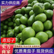 （产地直供）青茄子中牟茄子青茄基地直供一条龙服务