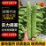 【优质苦瓜】条直无虫眼电商包装货源充足大量供应