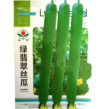 绿翡翠丝瓜种子春夏种植早熟产量高瓜长45厘基地种植