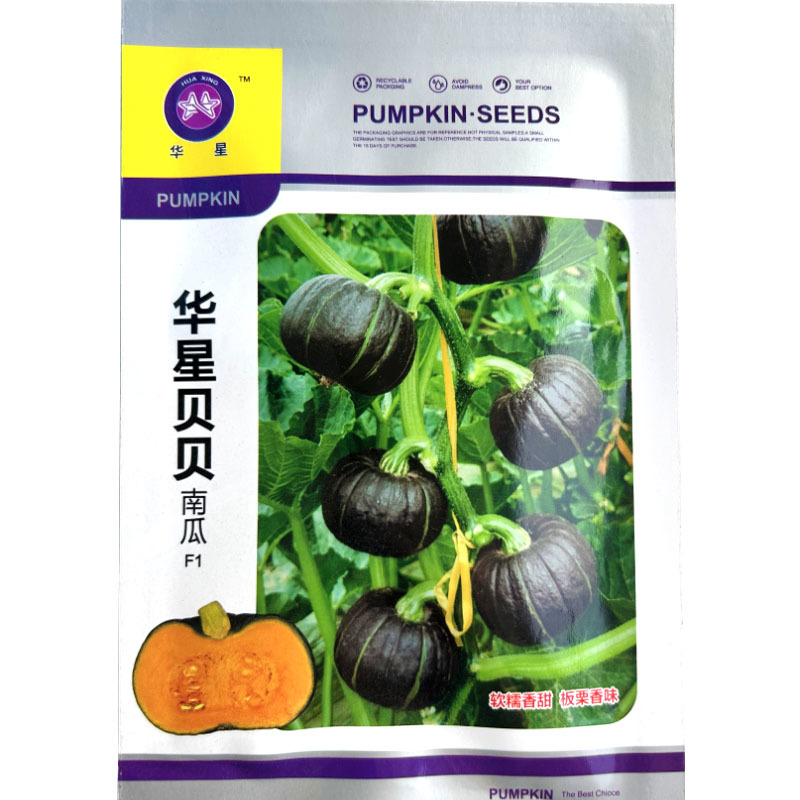 华星甜糯黑贝贝南瓜种子香甜甜糯粉抗病性强板栗香味