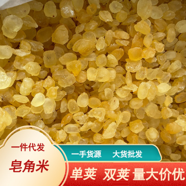 皂角米大量现货批发雪莲子单荚双荚皂角米一手货源