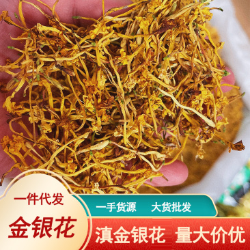 云南金银花现货批发干金银花无沫大货供应