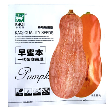 早蜜本南瓜种子早熟高产大果抗病甜蜜本老南瓜种籽