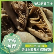 热卖毛肚茶色个子质量保证可视频看货货源充足对接全国