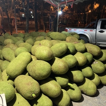 海南菠萝蜜八号果大量上市,货源充足,保质保量,对接全国
