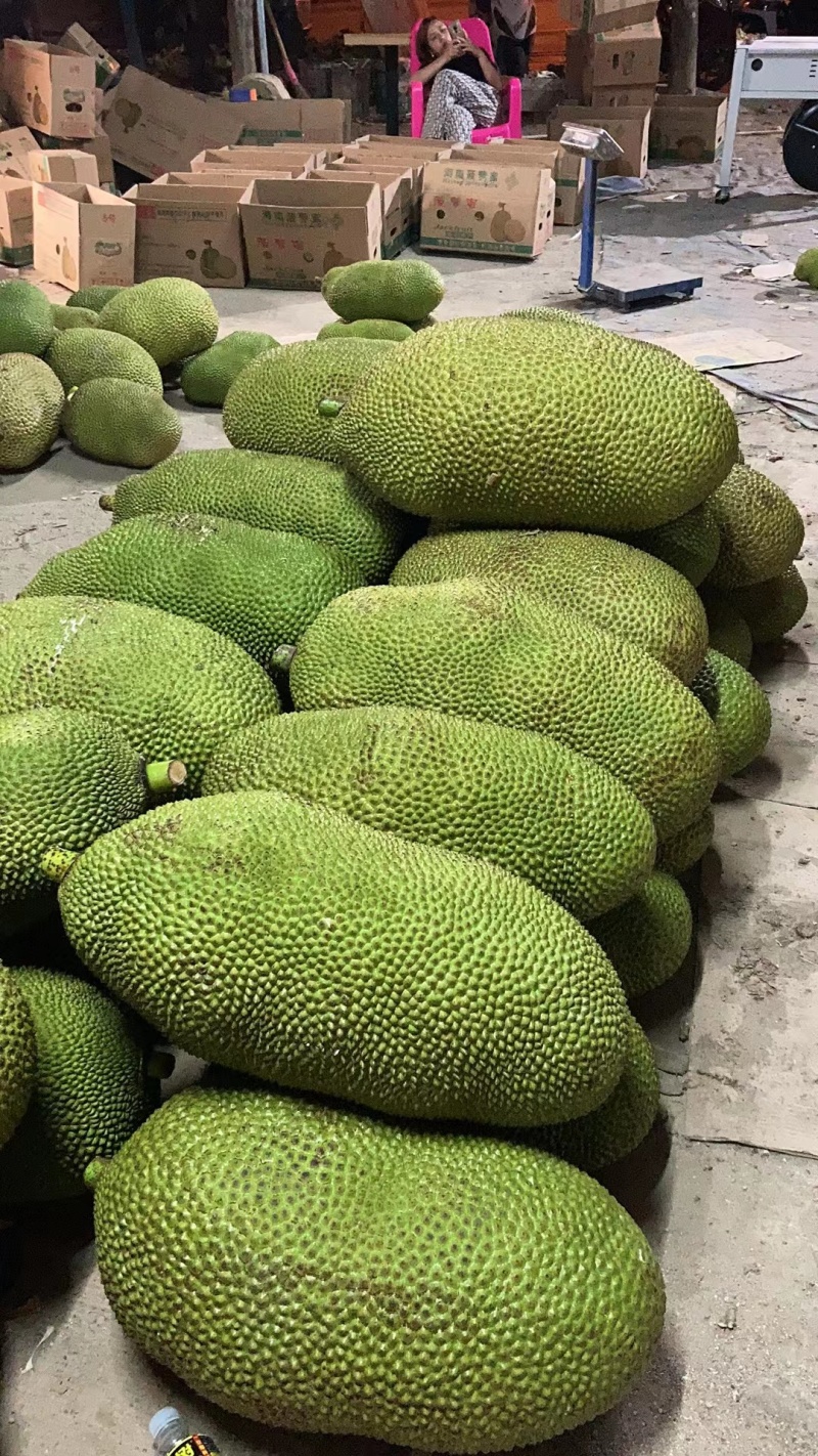 海南菠萝蜜产地直发，大小货源充足，货源充足，对接全国