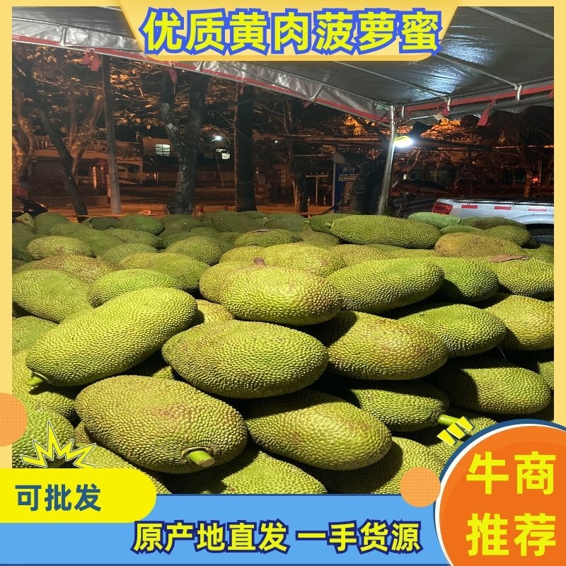 海南黄肉菠萝蜜，肉肥甜美，专业装车，诚信经营