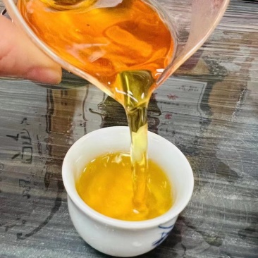 红茶金牡丹良种基地培育直销量大可零售欢迎选购