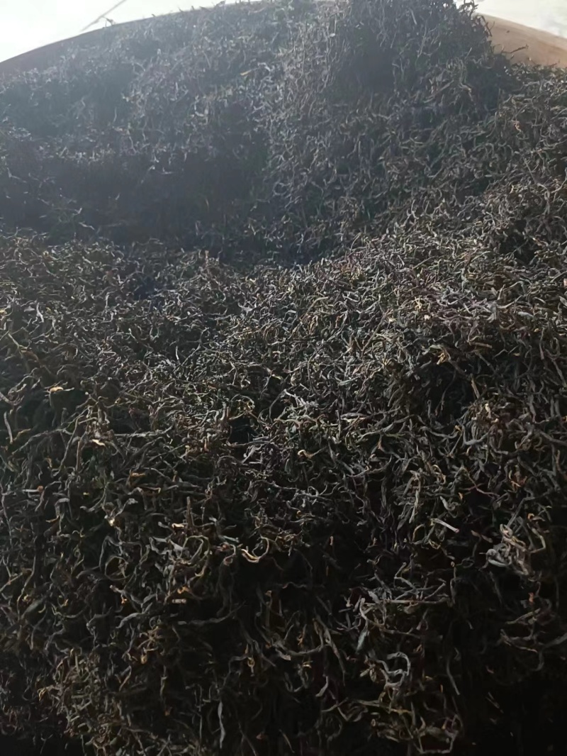 红茶金牡丹良种基地培育直销量大可零售欢迎选购