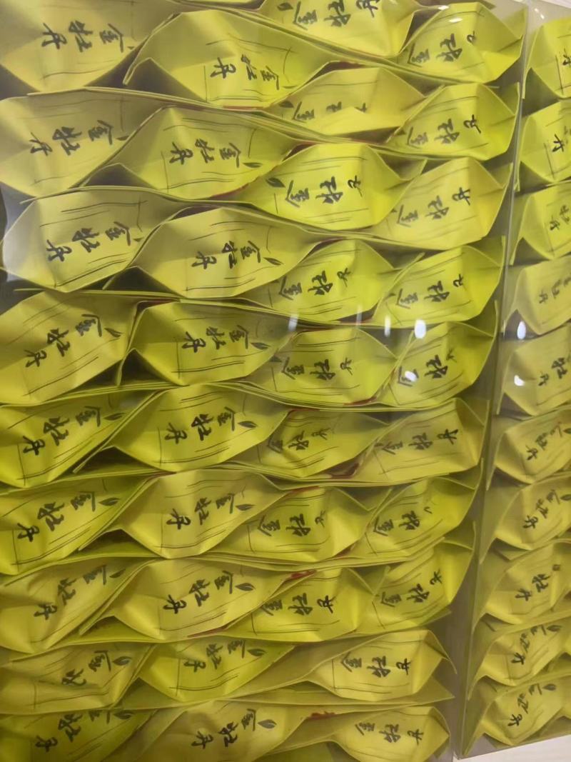 红茶金牡丹良种基地培育直销量大可零售欢迎选购