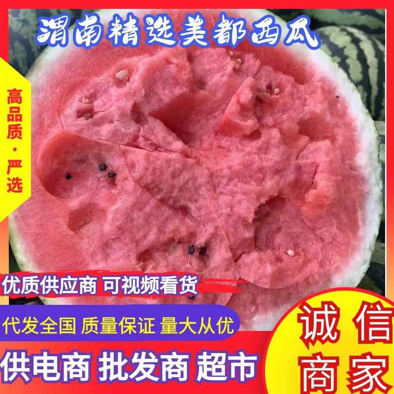 [无籽西瓜批发]陕西渭南大荔县西瓜 0.60元/斤陕西西瓜-美都 _ 一亩田