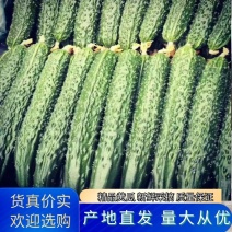 【精品】黄瓜，干花带刺，万亩基地，一手货源稳定发货