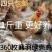 麻鸡苗麻羽鸡苗脱温苗绿壳蛋鸡易存活产量高疫苗齐全