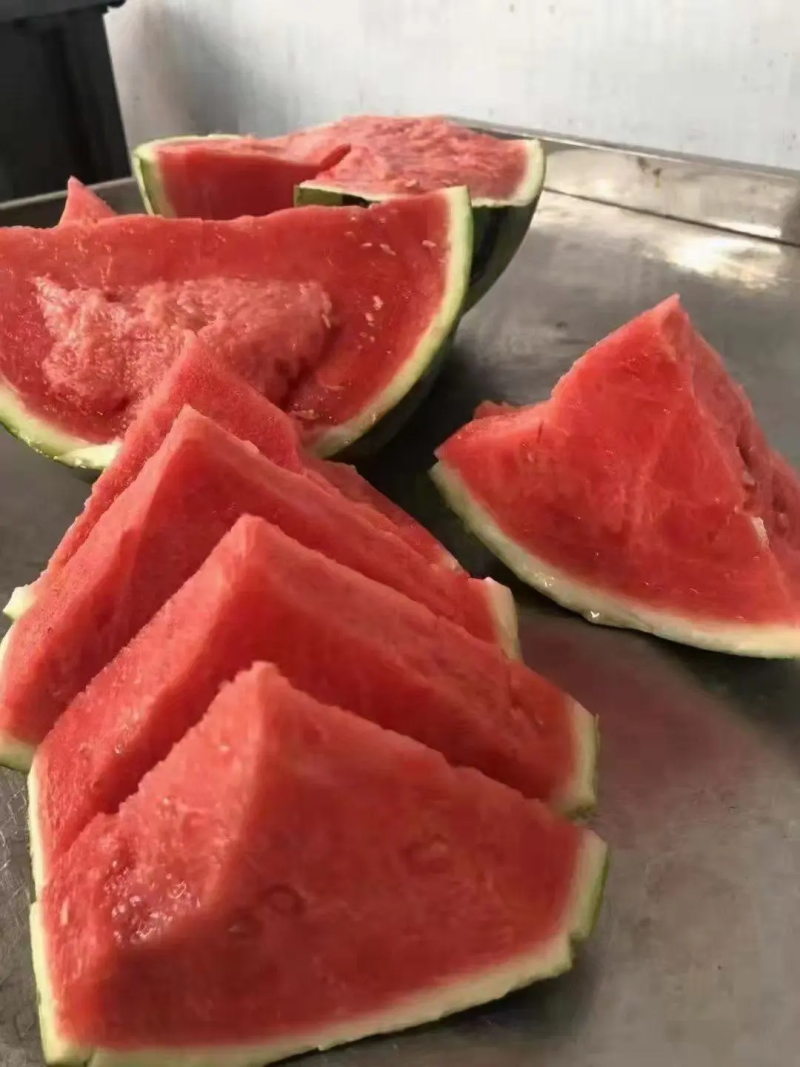 【河南夏邑】精选美都西瓜大量上市瓜型好含糖量高产地代办