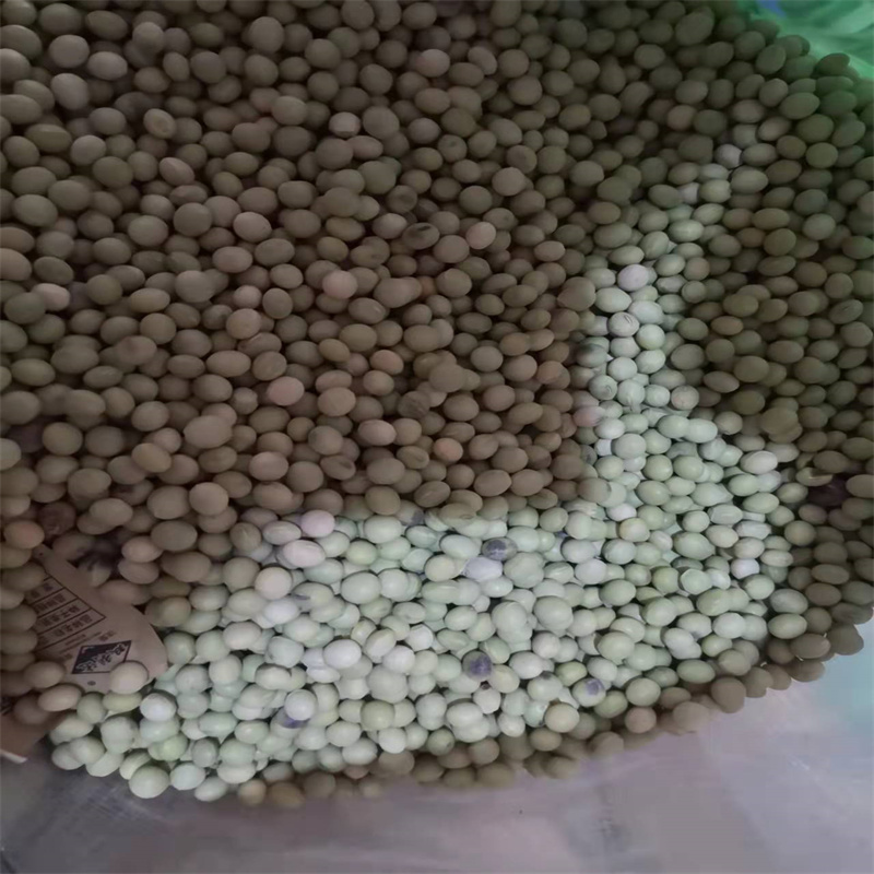 早熟大粒王毛豆种子鲜食特早糯非转基因大荚菜毛豆种子