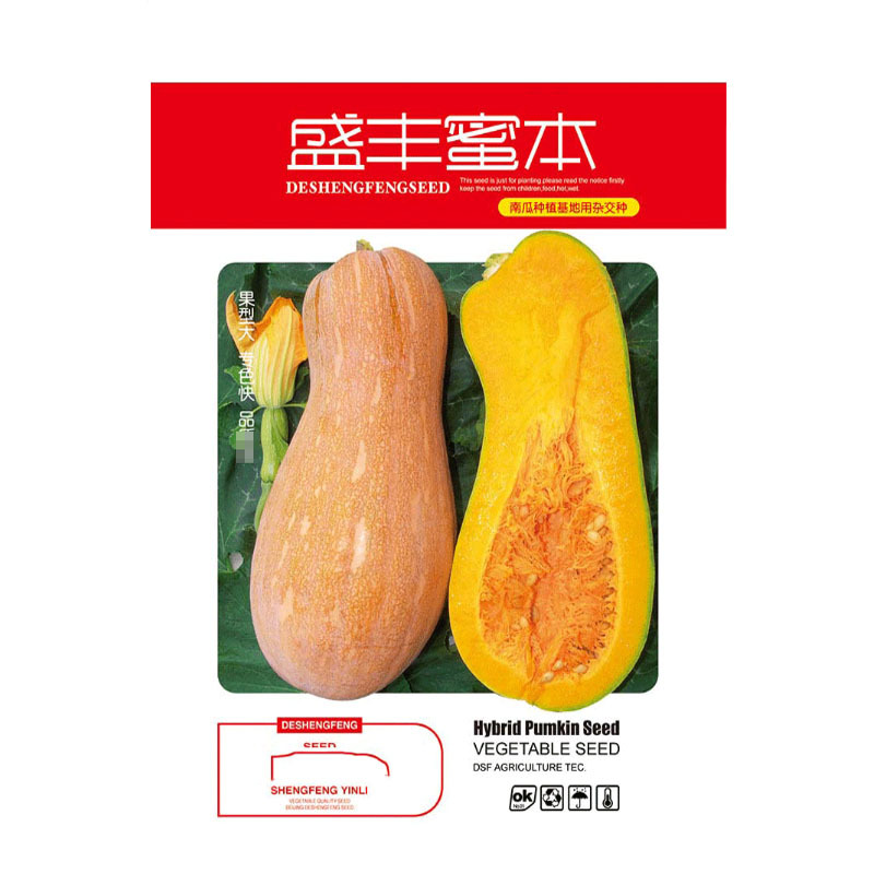 盛丰蜜本南瓜种子早熟粉糯大长果北瓜种子高产杂交一代