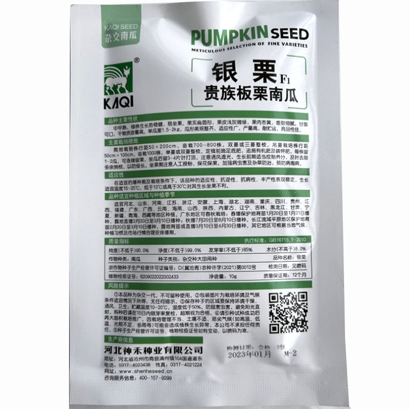 银栗南瓜种子肉质干甜面甜味浓坐果力强南方北方种植