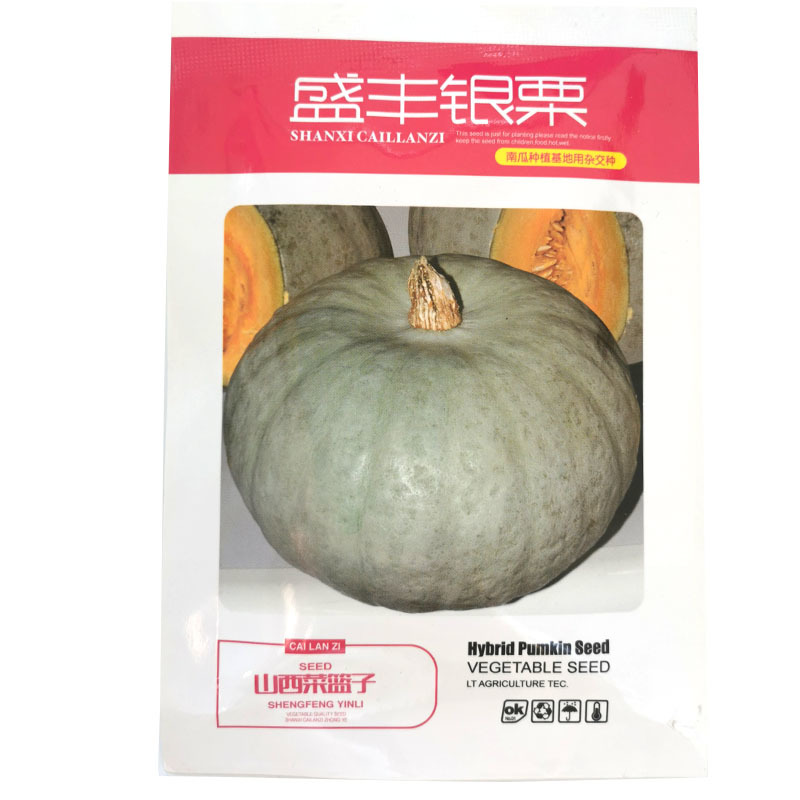 银栗南瓜种子肉质干甜面甜味浓坐果力强南方北方种植