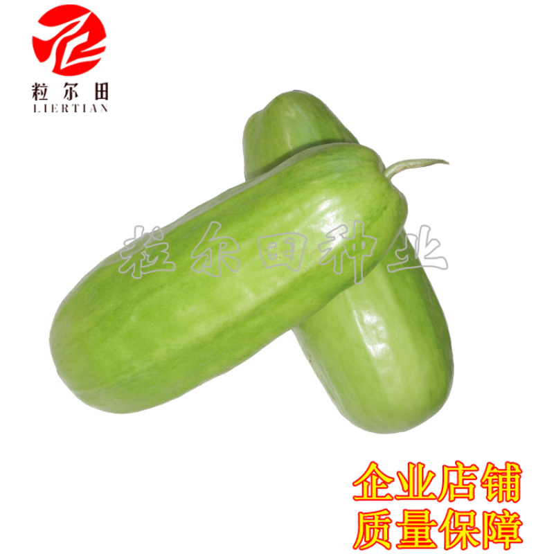 20克粒尔田绿水晶菜瓜种子坐果性好每叶一瓜条顺直菜瓜种子