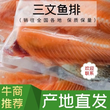 三文鱼鱼排，鱼骨，厂家直家直销，货源稳定，可定做