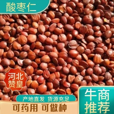 【包邮】酸枣仁，可药用可做种质量保证，河北产地直发，欢迎采购