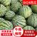 精品8424西瓜，汁多超甜夏邑县产地直供，量大。