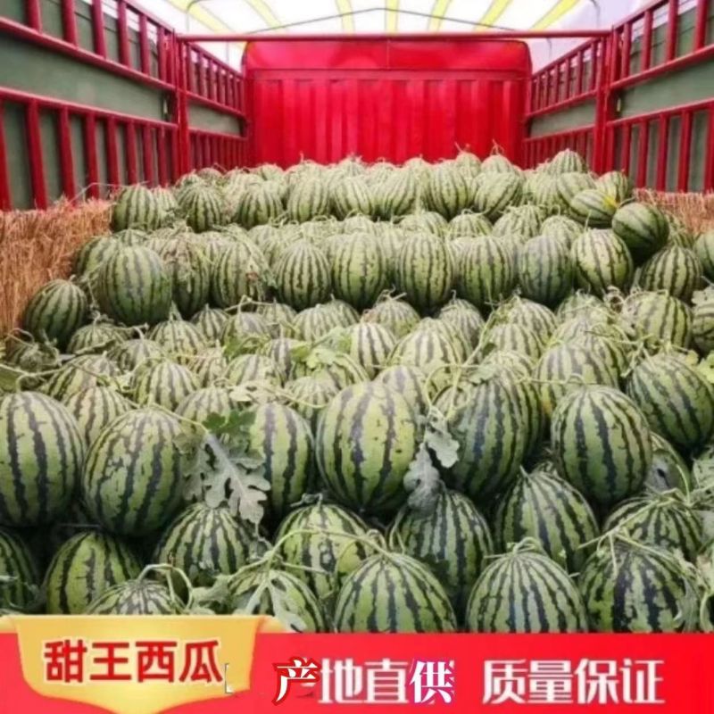 推荐甜王西瓜产地直供质量保证代发全国价格优惠欢迎联系