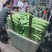 乐山苦瓜大量供应价格优惠对接商超欢迎联系