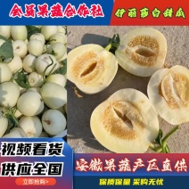 白莎蜜蜜糖罐大量现货可供商超市场电商产地直供