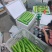 四川本地瓠瓜瓢瓜大量供应品质保障对接商超