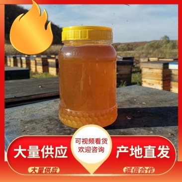 【蜂蜜】东北土蜂蜜百花蜜苕条蜜***剂纯正