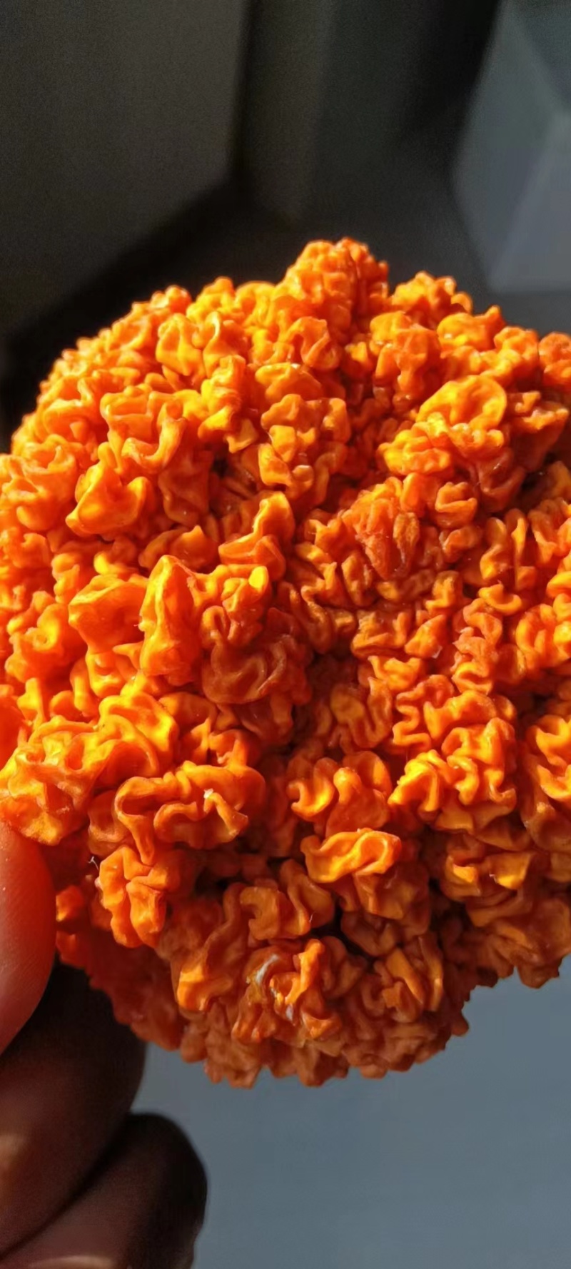 金耳菌包，大量供应不需要泡发直接炖煮，新鲜金耳菌包