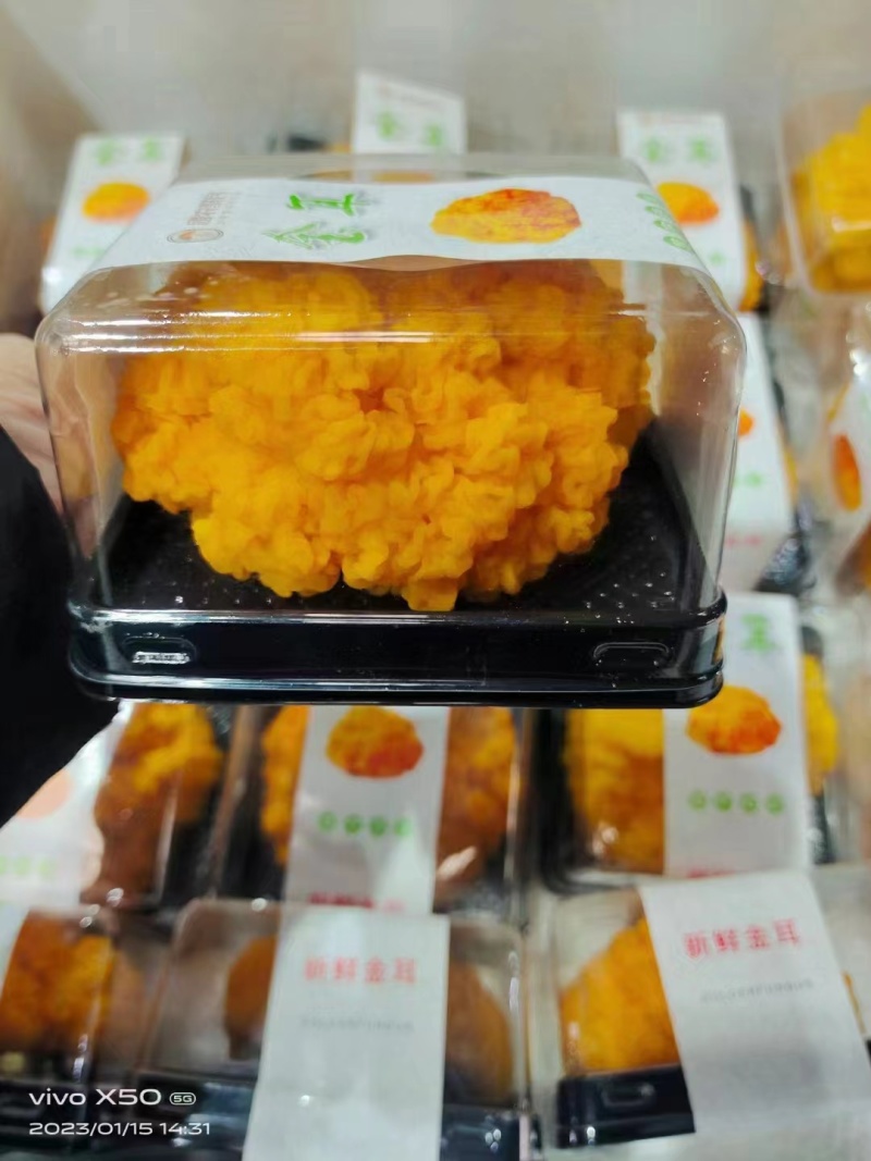 金耳菌包，大量供应不需要泡发直接炖煮，新鲜金耳菌包