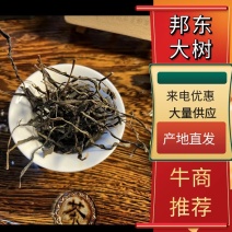 普耳茶，邦东大雪山高海拨的邦东大树茶2023年新茶上市