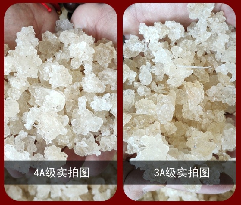 拉丝雪燕多规格一手货源雪燕大货批发货源稳定量大价优