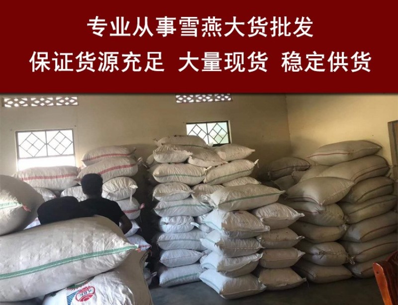 拉丝雪燕多规格一手货源雪燕大货批发货源稳定量大价优