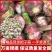 万亩规模大蒜现挖现发紫皮蒜蒜头规格齐全价格优惠欢迎来电