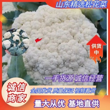 优质有机花菜，松花菜，质量好，青梗，白面，价格便宜，产地直发
