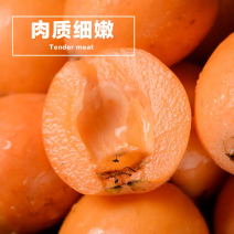 汉源大五星枇杷，阳光充足。果皮光泽，口感细腻。皮薄肉厚，
