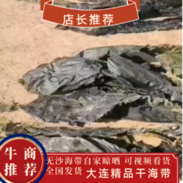【实力热卖】大连干海带无沙海带自家晾晒，一手货源可视频看货