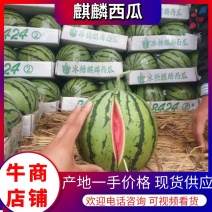 麒麟瓜精品美都西瓜，产地一手货源，量大从优，包熟包甜电联